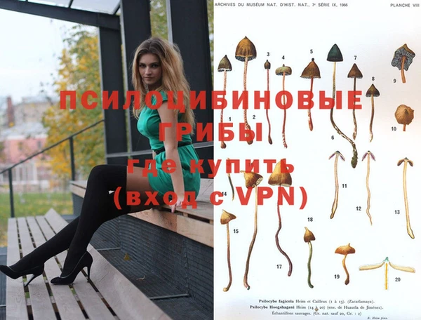 твердый Аркадак
