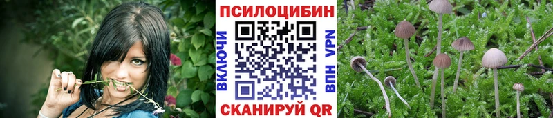 Галлюциногенные грибы Cubensis  Татарск 